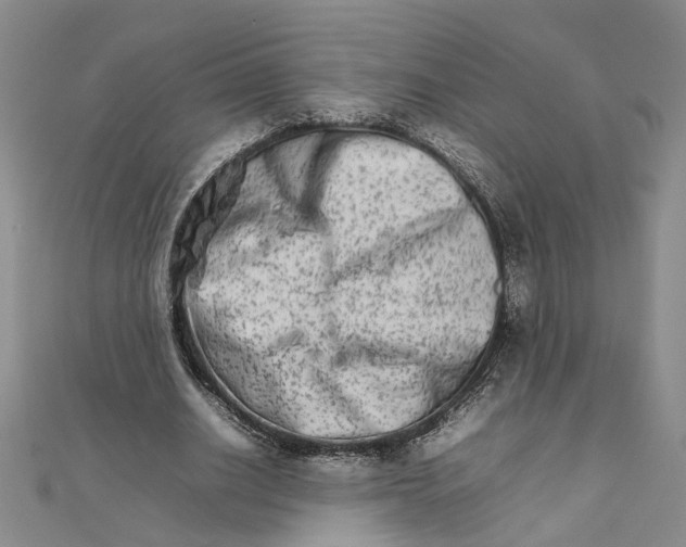 X0000111680630200908071425