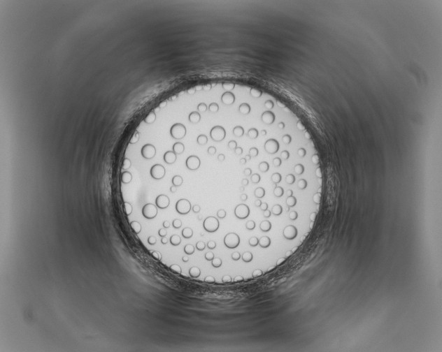 X0000111680631200908071425