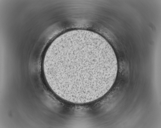 X0000111680632200908071425