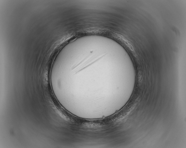 X0000111680633200908071425