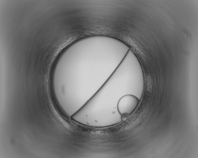 X0000111680634200908071425