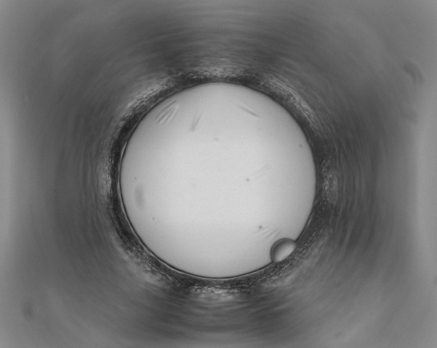 X0000111680635200908071425