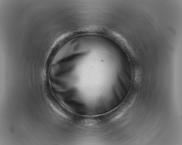 X0000111680636200908071425