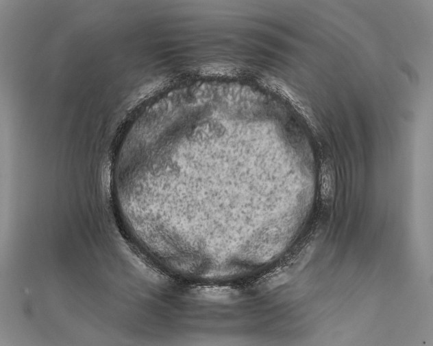 X0000111680637200908071425