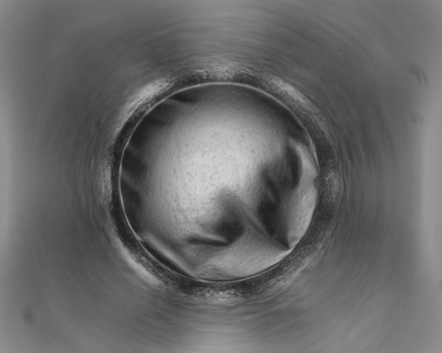 X0000111680638200908071425