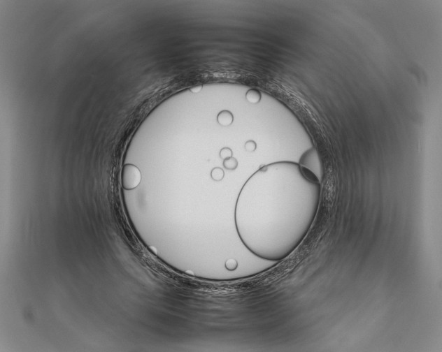 X0000111680639200908071425