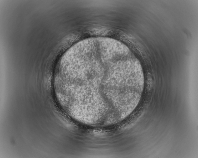 X0000111680641200908071425