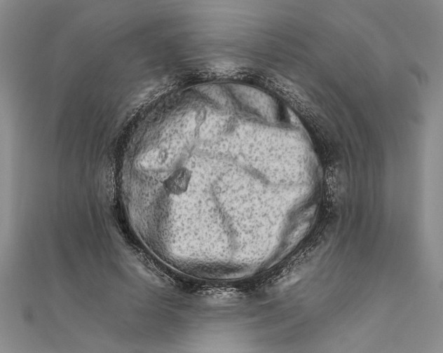 X0000111680642200908071425