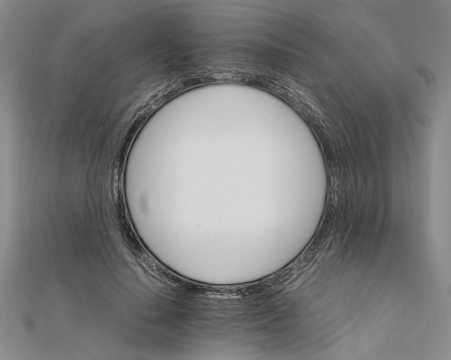 X0000111680644200908071425