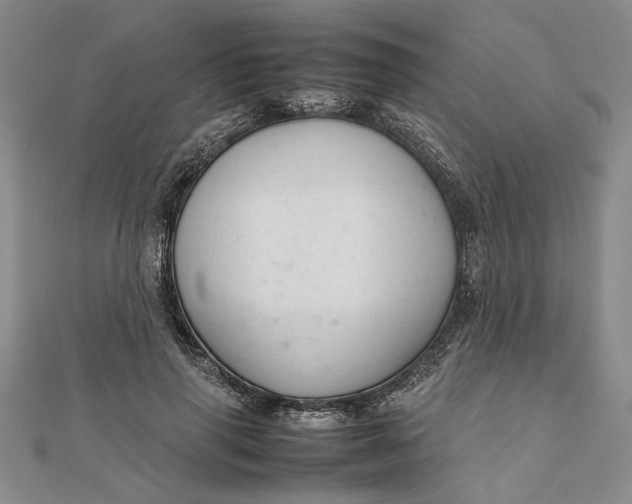 X0000111680645200908071425