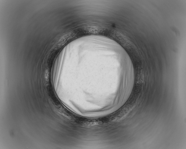 X0000111680646200908071426