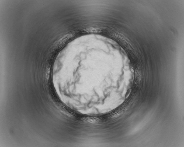 X0000111680652200908071426