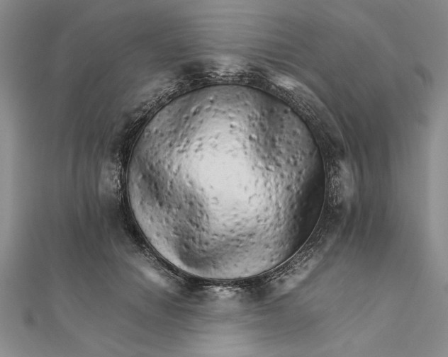 X0000111680654200908071426