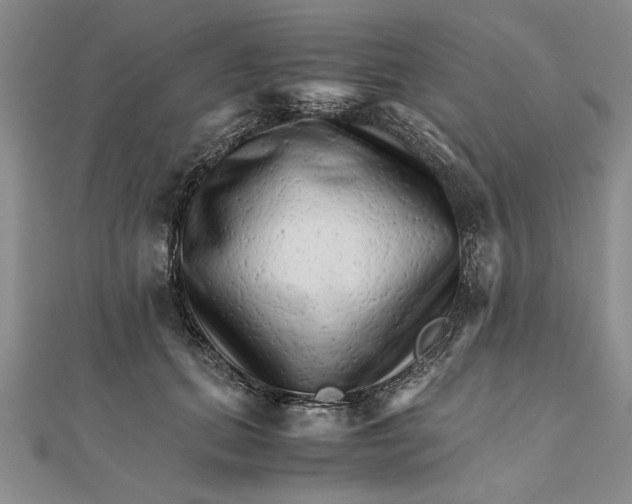 X0000111680655200908071426