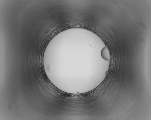 X0000111680656200908071426