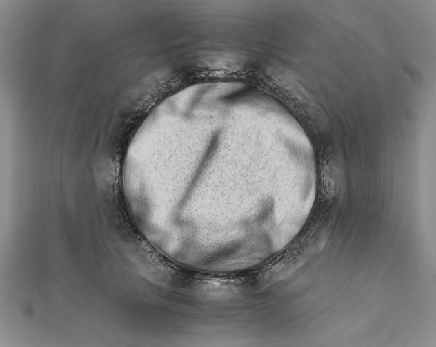 X0000111680657200908071426