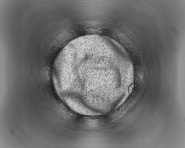 X0000111680658200908071426