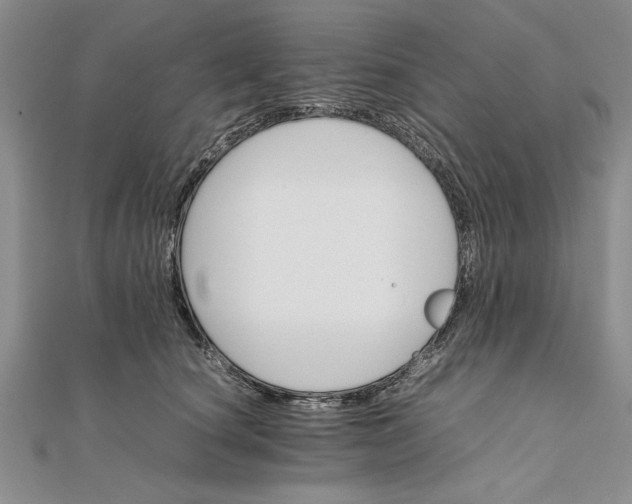 X0000111680660200908071426