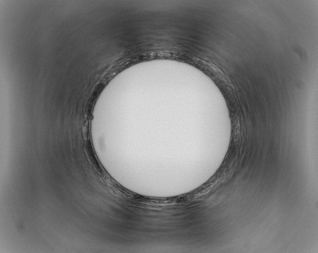 X0000111680661200908071426