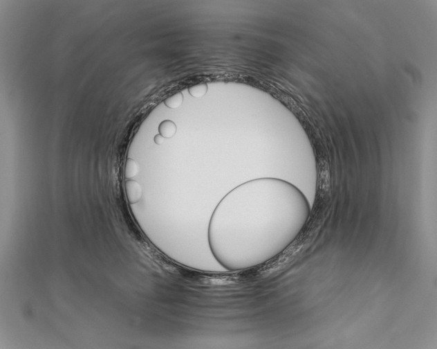 X0000111680662200908071426