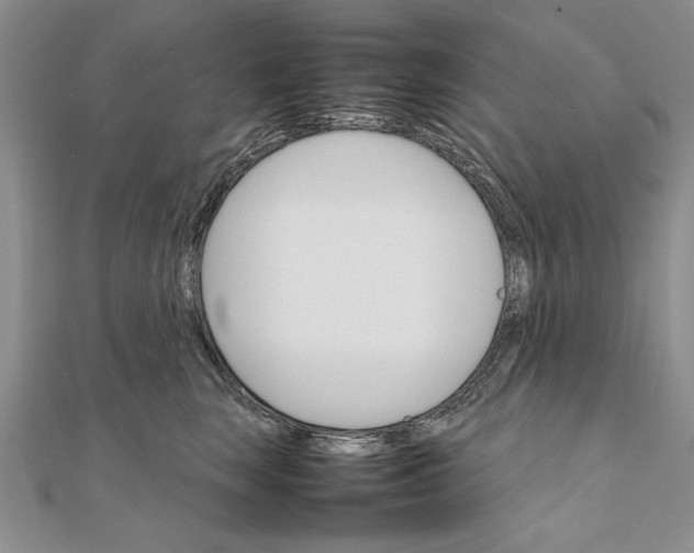 X0000111680663200908071426