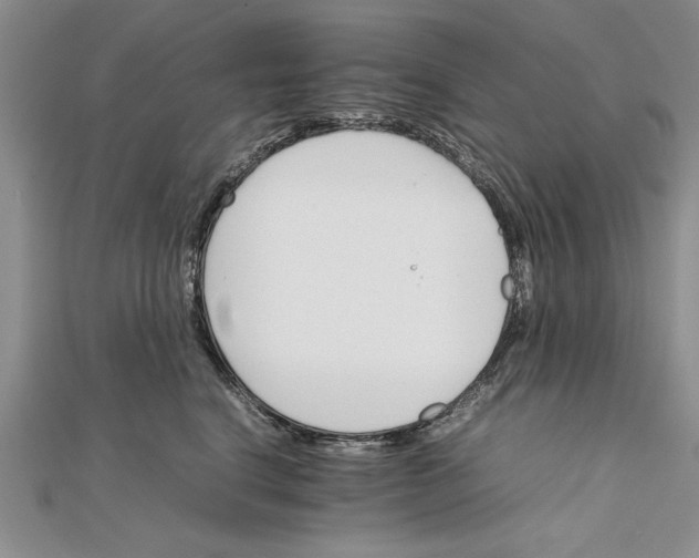 X0000111680664200908071426