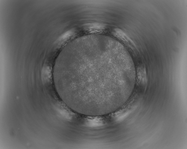 X0000111680667200908071426