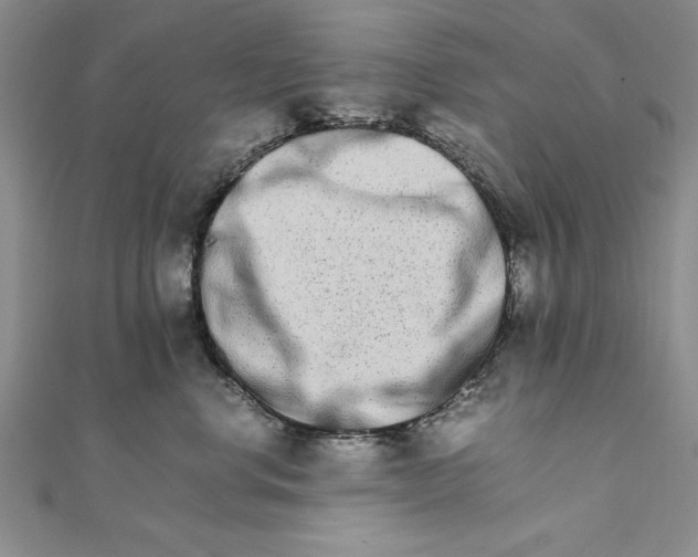 X0000111680668200908071426