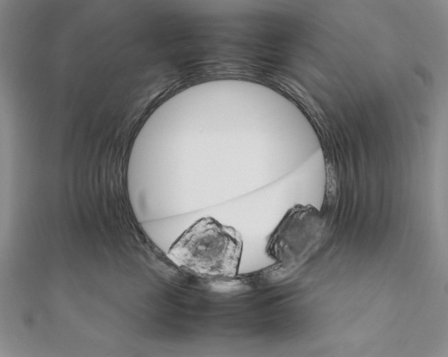 X0000111680669200908071426