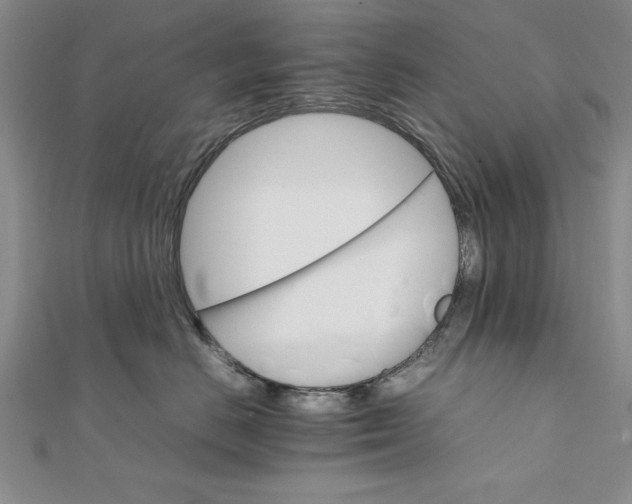 X0000111680670200908071426