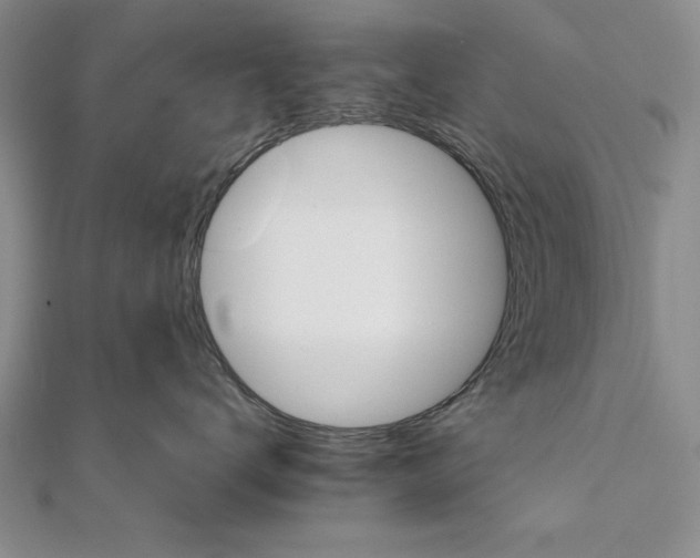 X0000111680672200908071426