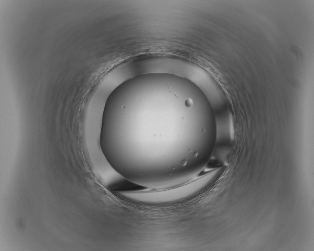 X0000111680673200908071425