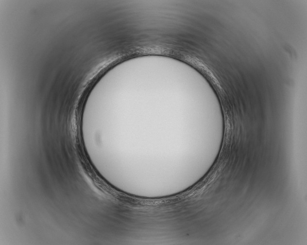 X0000111680674200908071425