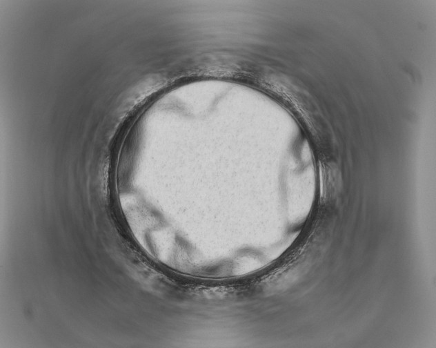 X0000111680675200908071425