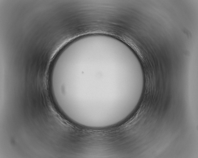 X0000111680676200908071425