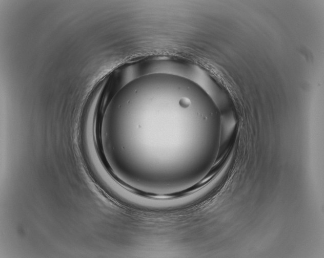 X0000111680677200908071425