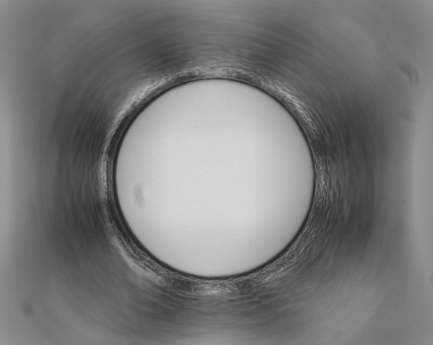 X0000111680678200908071425