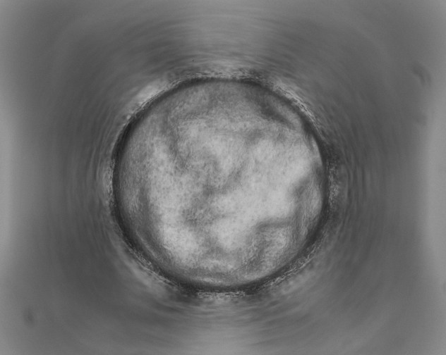 X0000111680679200908071425