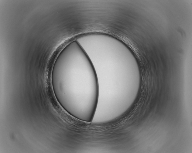 X0000111680680200908071425