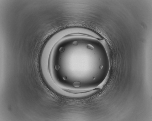 X0000111680681200908071425