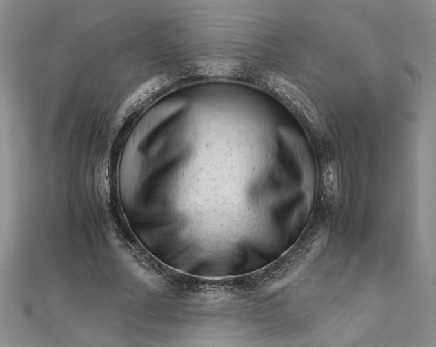 X0000111680682200908071425