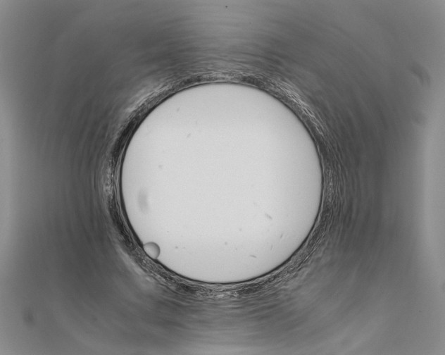 X0000111680683200908071425