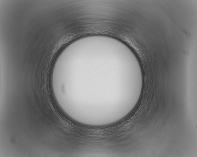 X0000111680685200908071425