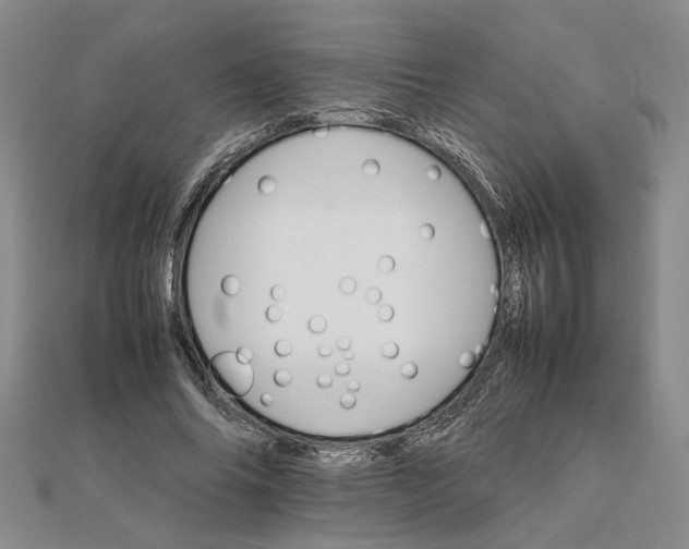 X0000111680686200908071425