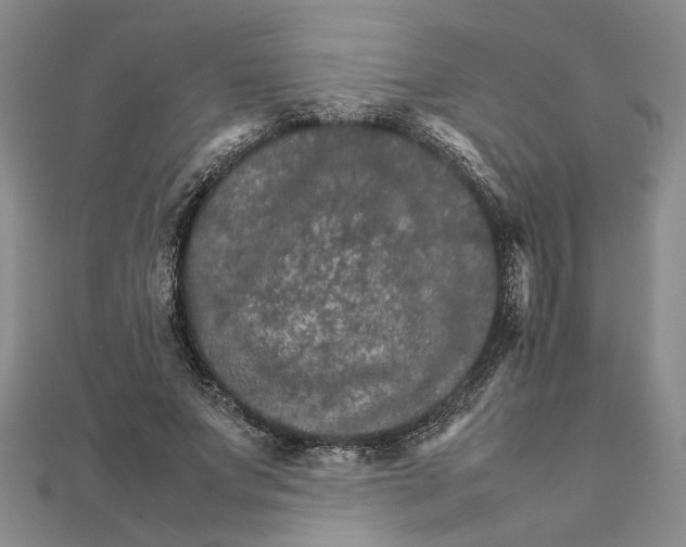 X0000111680687200908071425