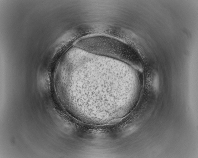 X0000111680688200908071425