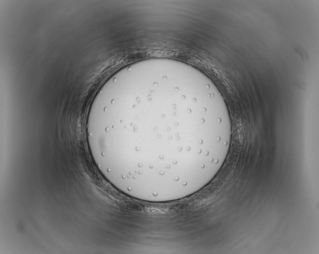 X0000111680690200908071425