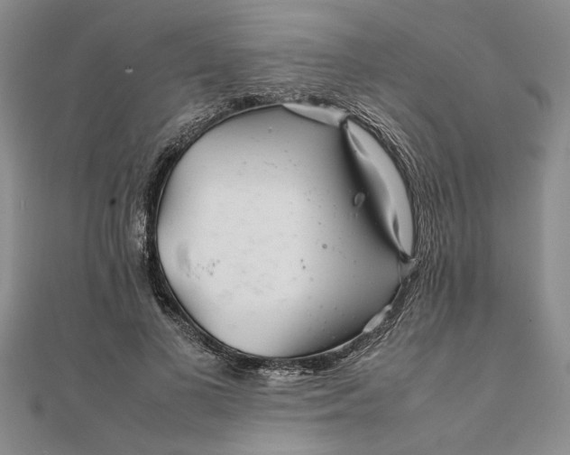 X0000111680693200908071425