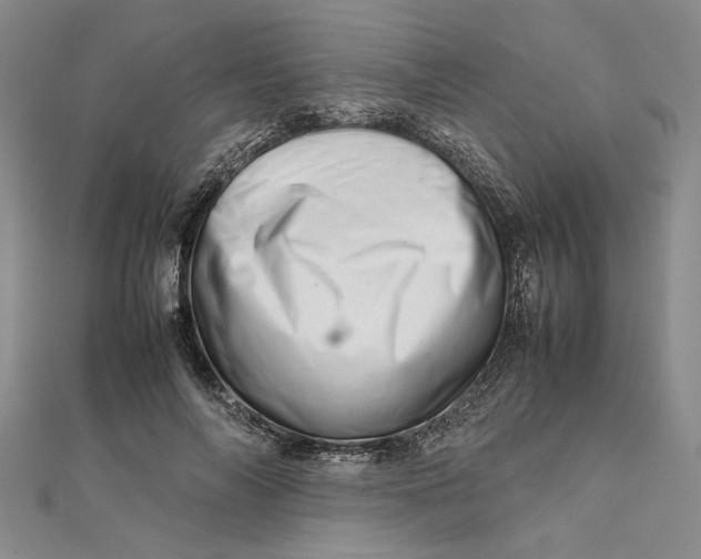 X0000111680694200908071425