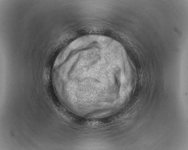 X0000111680695200908071425